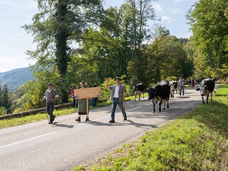 Fête de la Transhumance - Wandelfescht