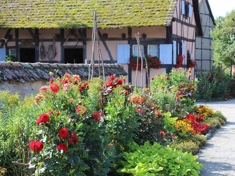 Écomusée d'Alsace