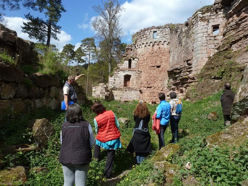 Visite guidée du château du Schoeneck, Dambach