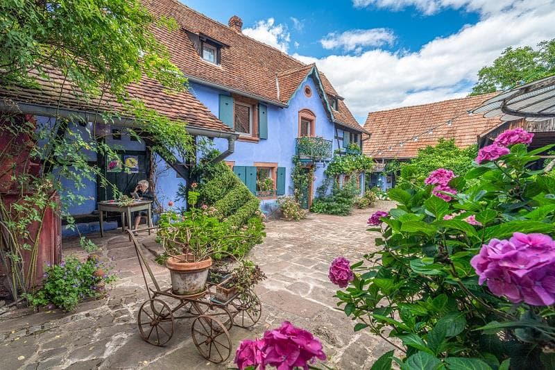 Les impromptus de la Ferme Bleue