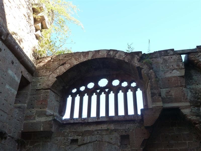 Visite guidée du château de la Wasenbourg