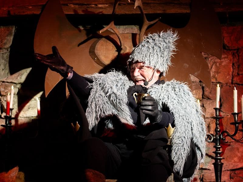 Spectacle déambulatoire de Noël : Le souffle des étoiles