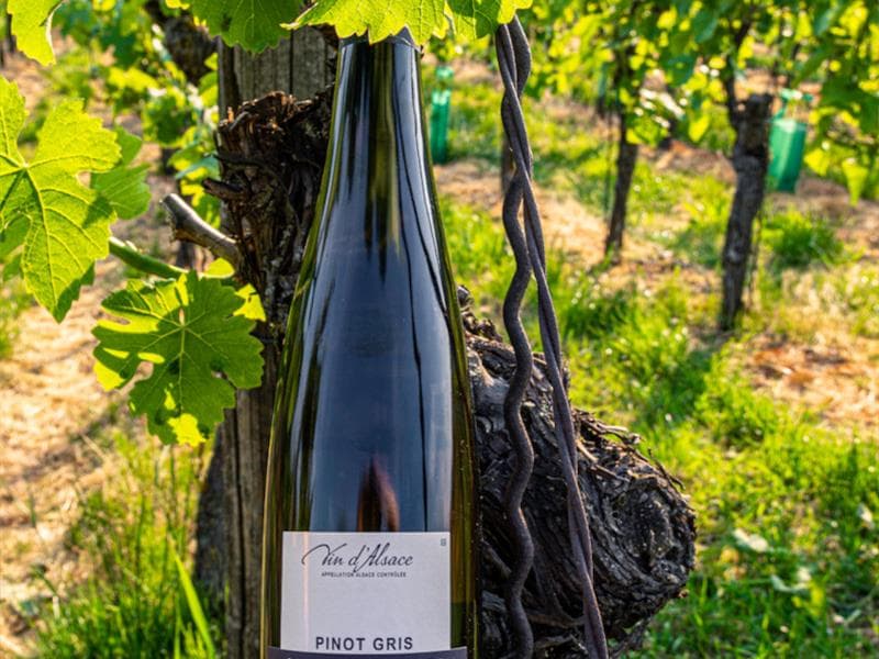 Cave vinicole de Cleebourg