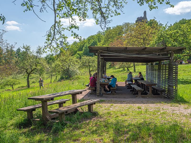 Aire de pique-nique - Château de Fleckenstein