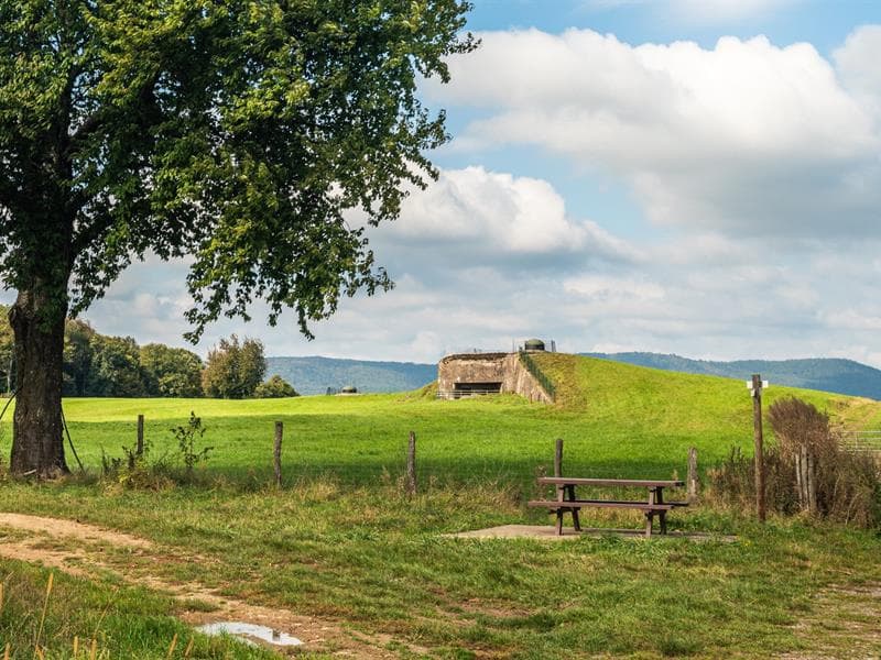 Aire de pique nique - les coupoles du Fort de Schoenenbourg