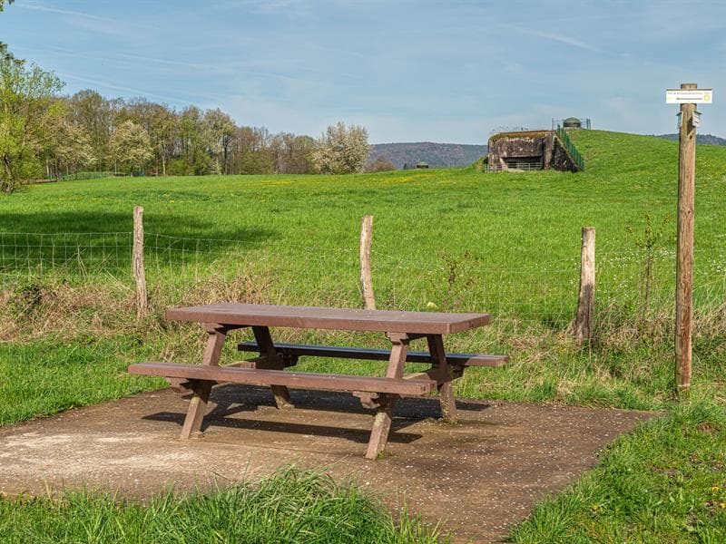 Aire de pique nique - les coupoles du Fort de Schoenenbourg