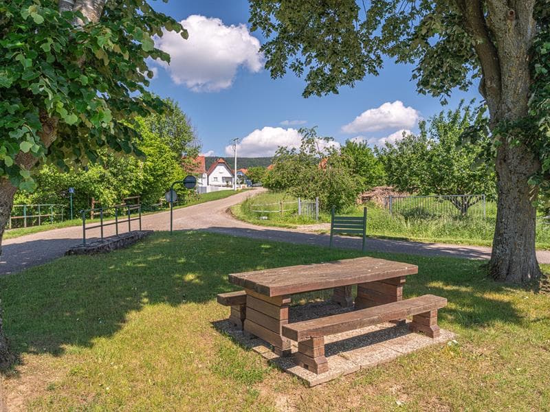 Aire de pique-nique - Route de Preuschdorf