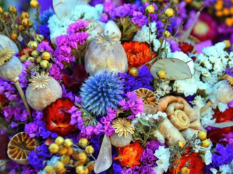 ANNULÉ - Atelier : Cloche décorative végétale