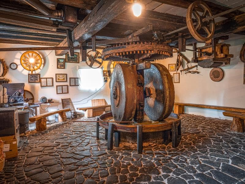 Visite et démonstration du moulin à huile
