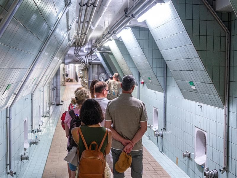 Visite commentée de la cave de Cleebourg suivie d'une dégustation
