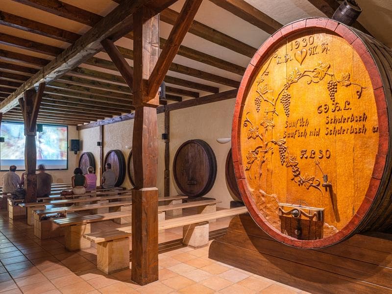 Visite commentée de la cave de Cleebourg suivie d'une dégustation