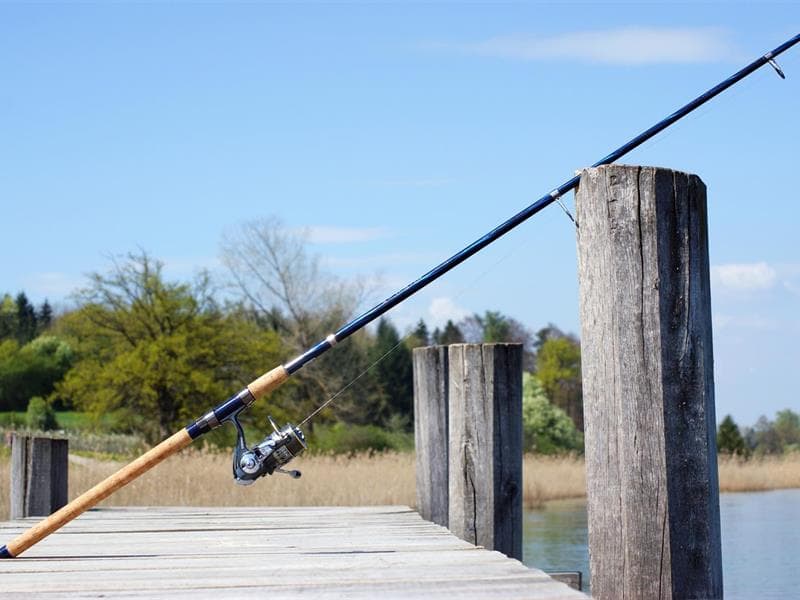 Matinées de pêche