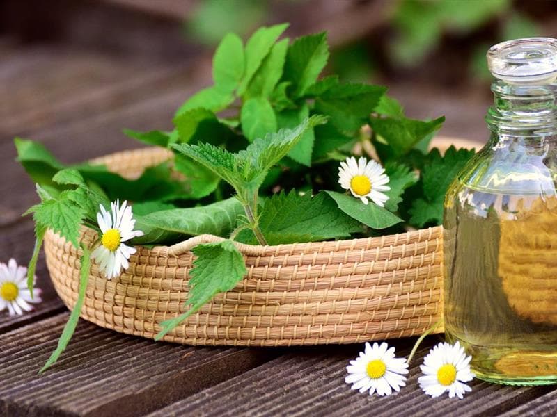 Atelier aromathérapie : l'art de l'équilibre entre corps et esprit