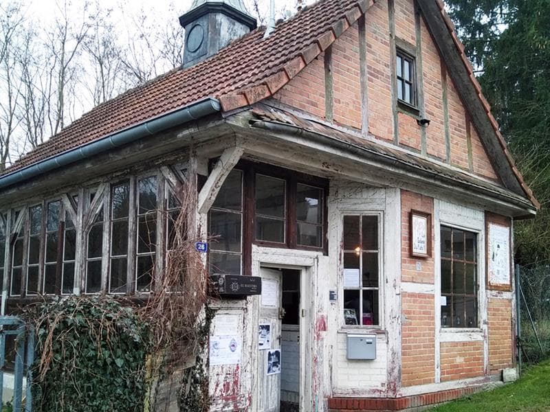 Exposition : Visions d'arbre