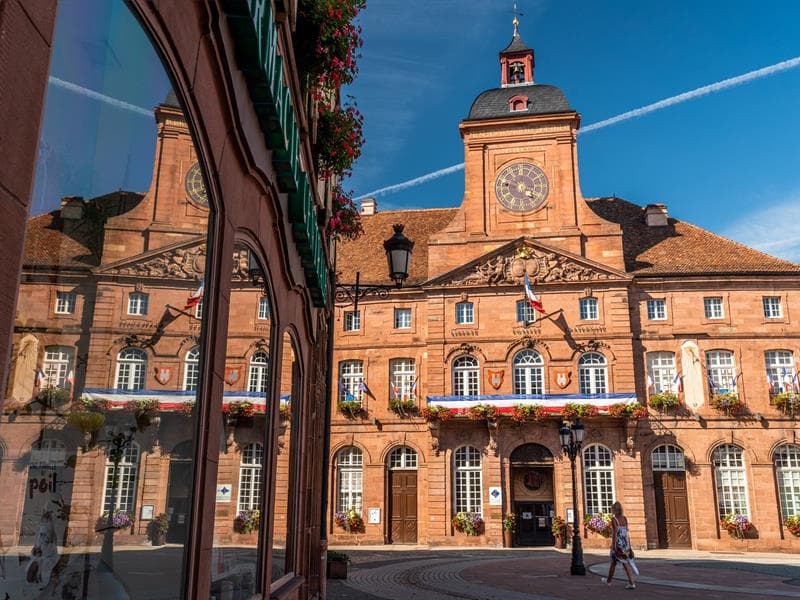 Les lignes de la Lauter
