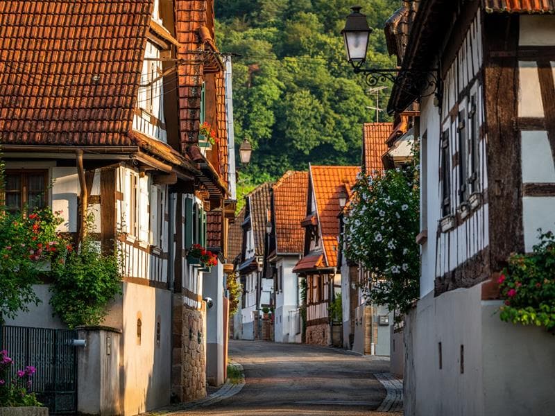 Vignobles en Scène Alsace : Visite guidée du village, de la cave et dégustation