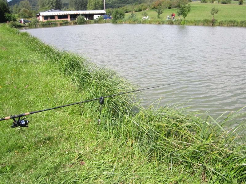 Etang de pêche, Rothbach, Alsace