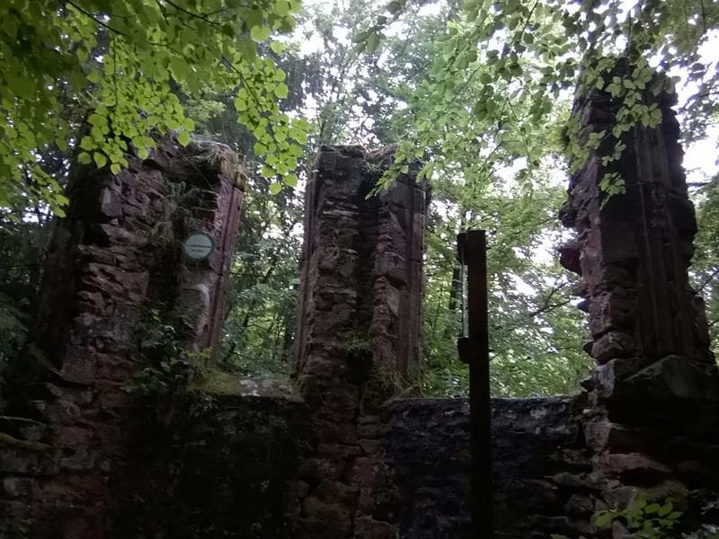 Ruine du Tierkirchlein, Rothbach, Alsace