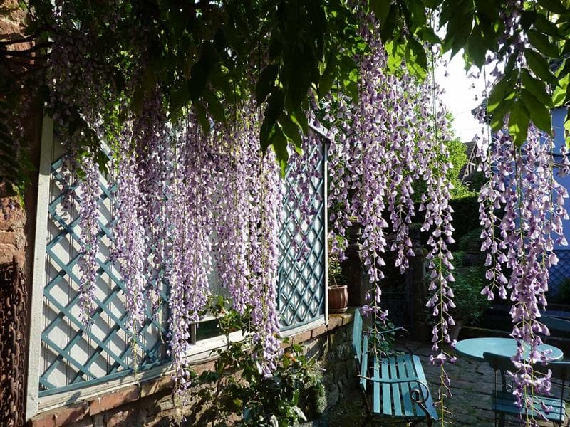 Visite libre des jardins d'un domaine du XVIème siècle