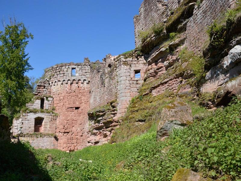 Château du Schoeneck,  ruines des Vosges du Nord, Dambach, Alsace