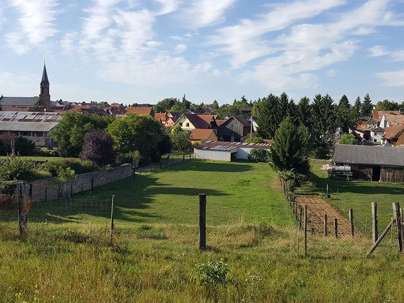 Griesheim-près-Molsheim