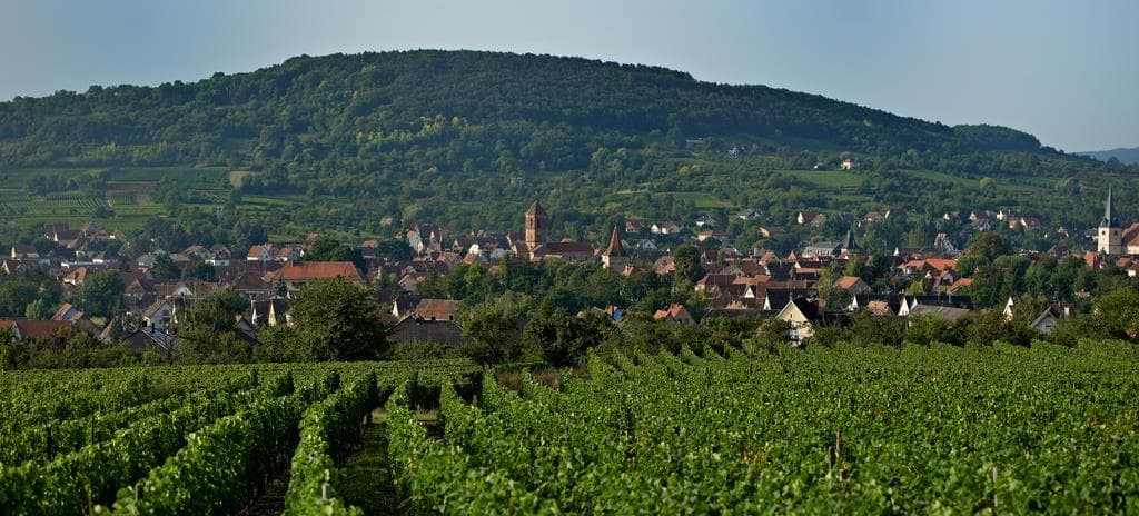 Visite guidée de la ville
