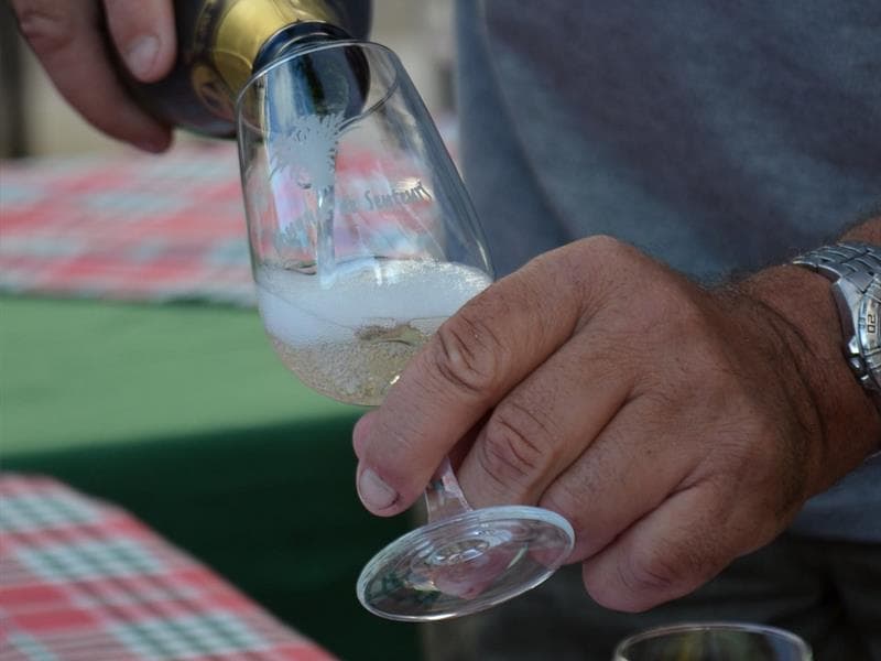Vins Affolter
