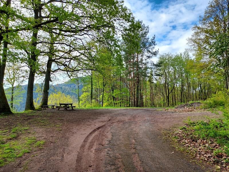 Aire de pique-nique - Waldbruderrain