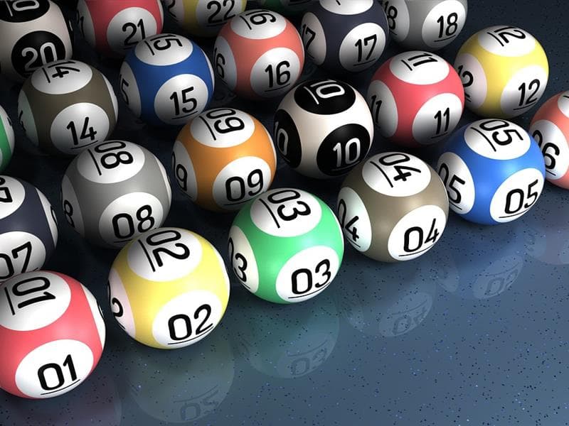 Loto de la Sportive
