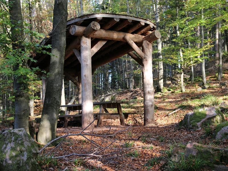 Aire de pique-nique au pied du Purpurkopf