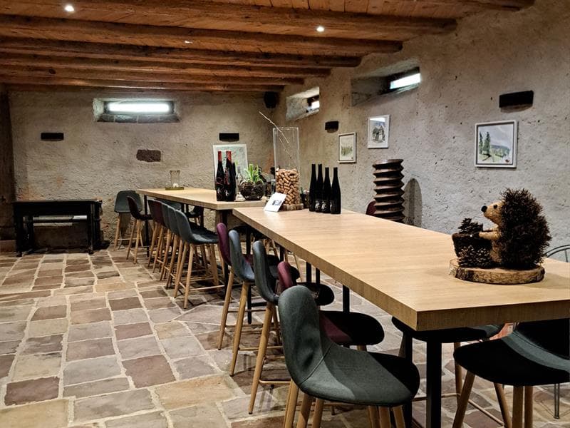 Découverte du métier de vigneron