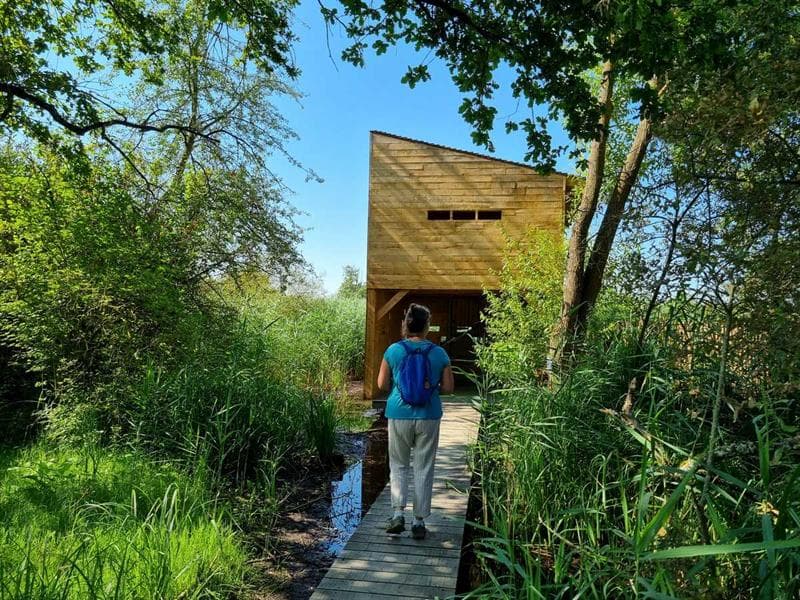 Observatoire ornithologique des Rohrmatten