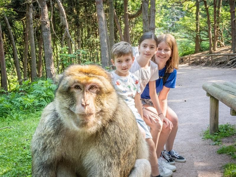 La Montagne des Singes