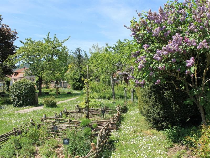 Jardin médiéval