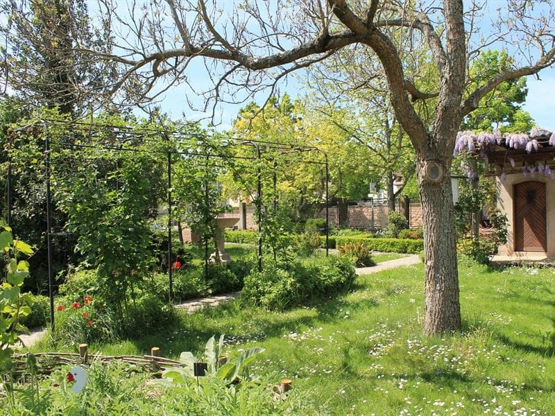 Jardin médiéval