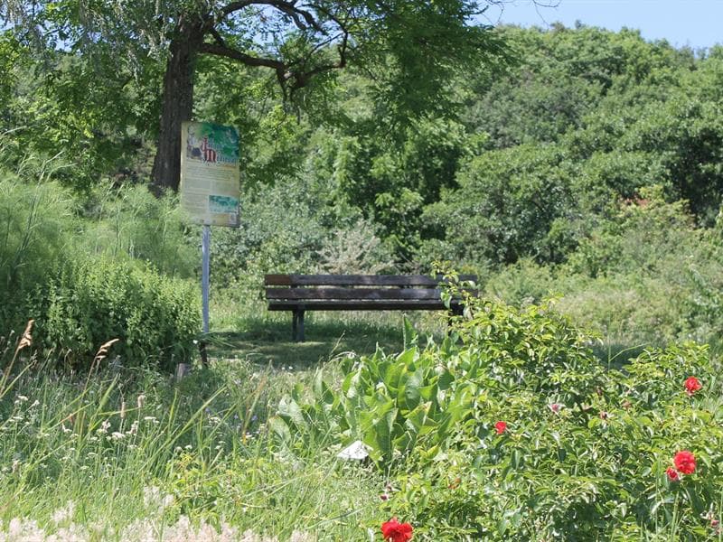 Jardin médiéval
