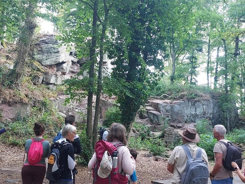 Rando et p'tit déj' au Haut-Koenigsbourg