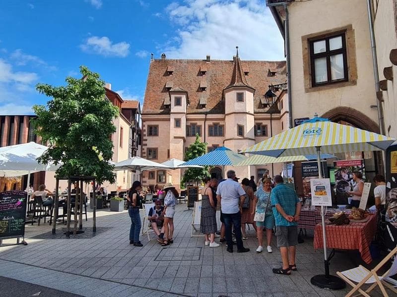 Accueil des touristes