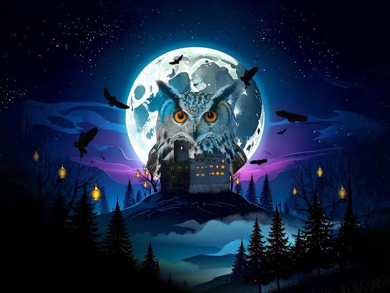 Halloween à la Volerie des aigles