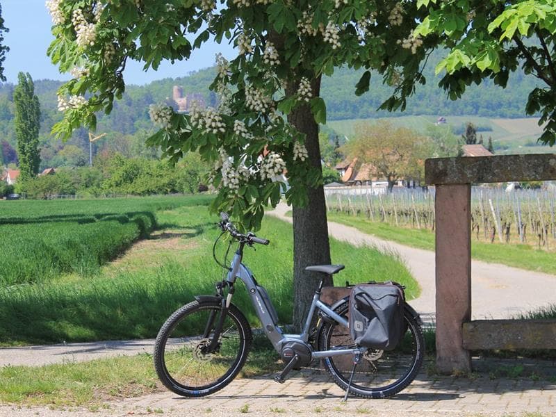 Location de vélos à assistance électrique
