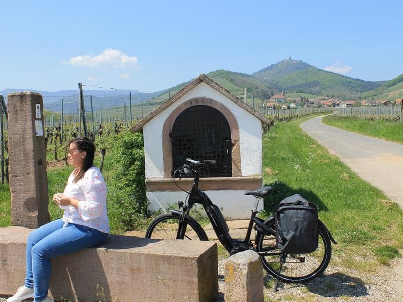 Location de vélos à assistance électrique