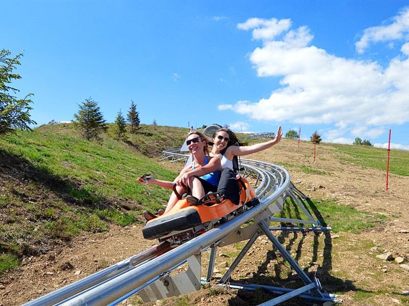 Luge sur rail