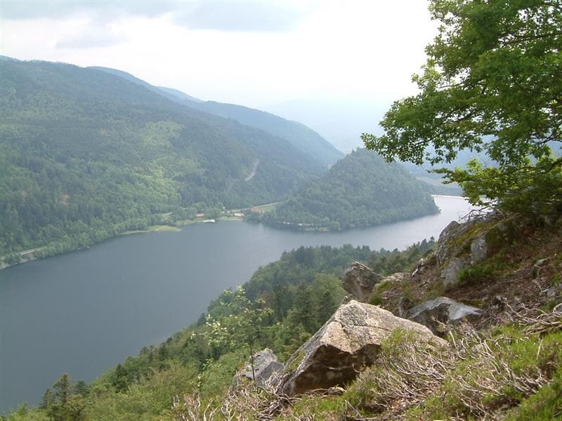 Pêche au lac de Kruth-Wildenstein