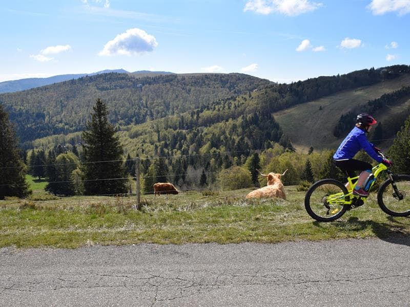 Site VTT-FFC Hautes Vosges d'Alsace - Vallée de Saint-Amarin