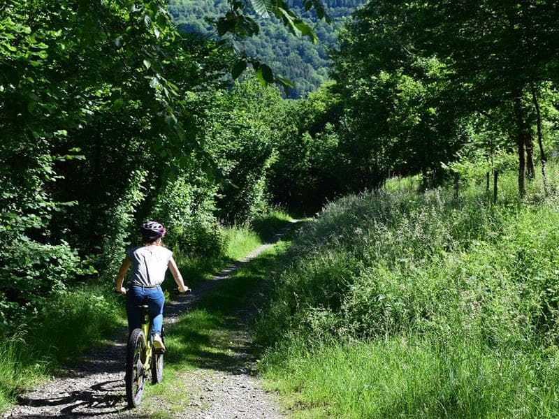 Site VTT-FFC Hautes Vosges d'Alsace - Vallée de Saint-Amarin