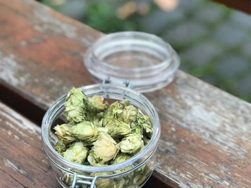 L'Echappée bière Strasbourg