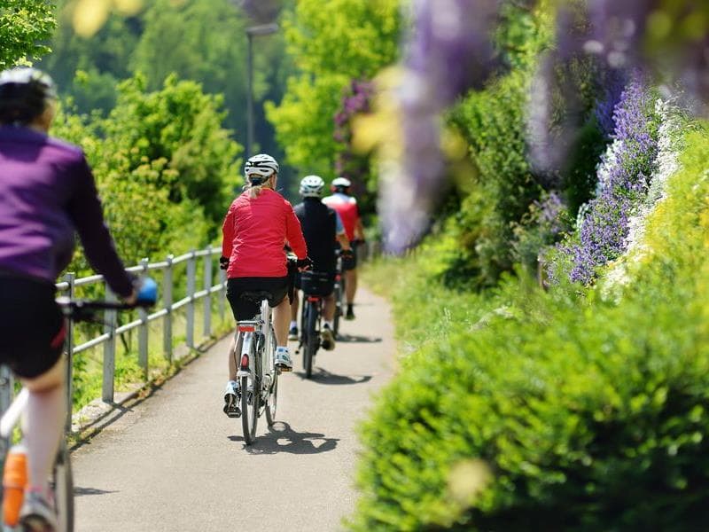 La Cigogne à vélo