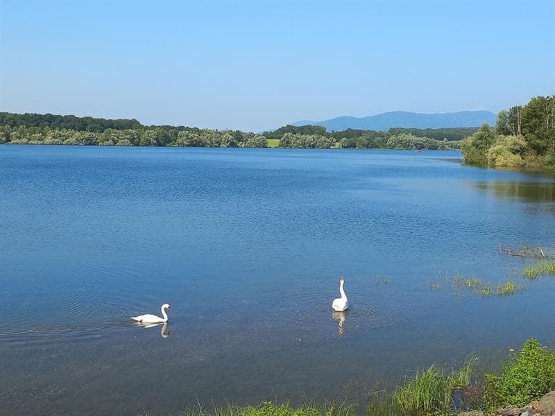 Le barrage et la réserve naturelle de Michelbach