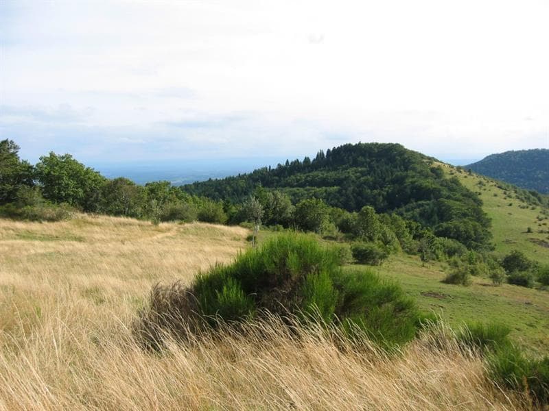 Col du Hundsruck