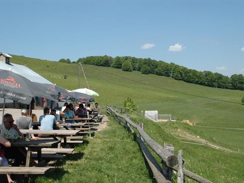 Auberge du Molkenrain